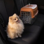 dog car seat, dog car seats, car seat for small dogs, dog booster seat