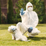 zoonotic diseases, zoonotic disease, zoonotic illness, what are zoonotic diseases