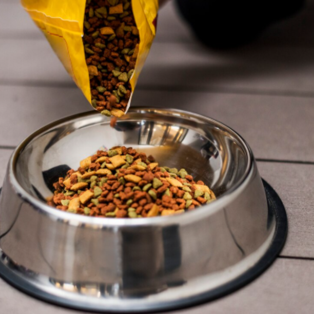 dog food healthy, best food for dogs, healthy dog food, what can dogs eat
